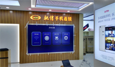 其它項目係統